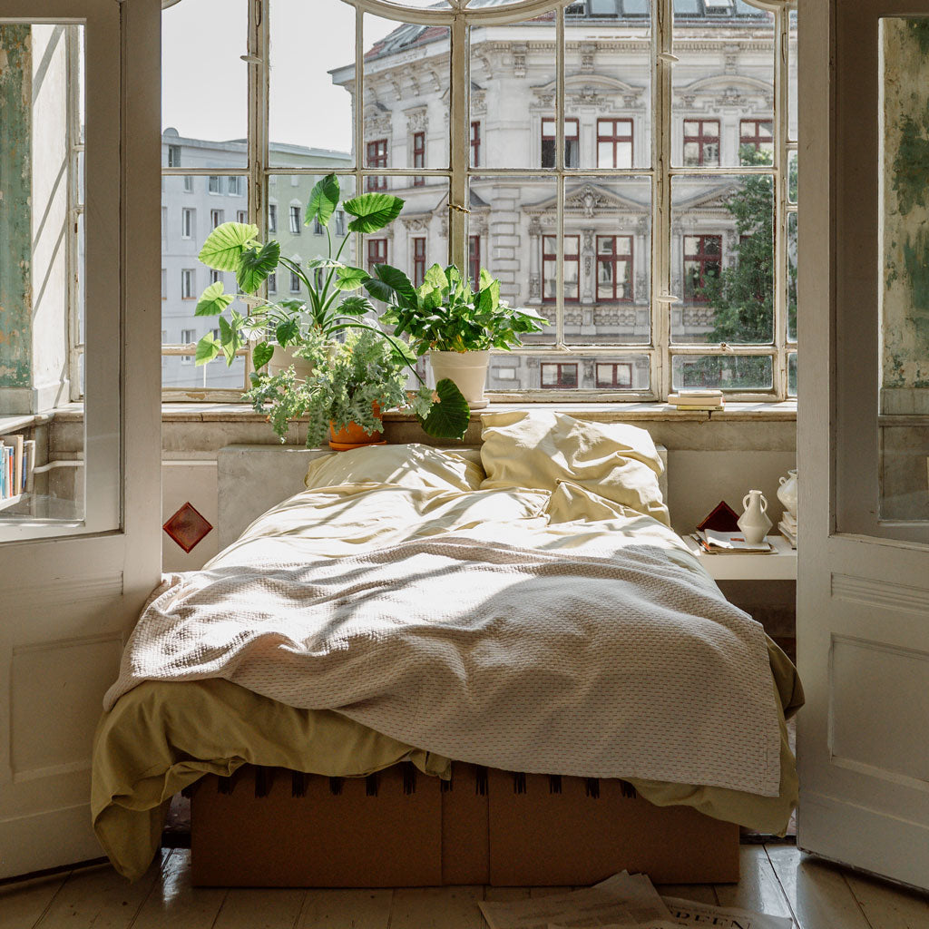 ROOM IN A BOX