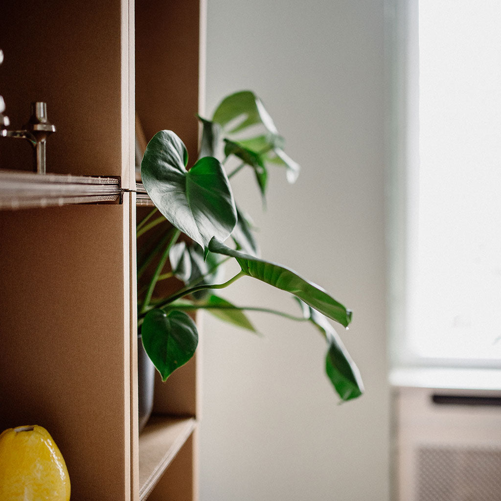 ROOM IN A BOX Modulares Regalsystem, Seitenansicht